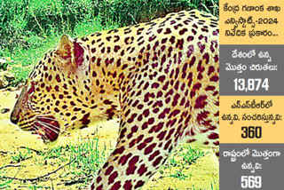 many_leopards_nagarjuna_sagar_srisailam_tiger_reserve