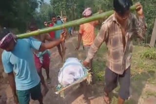 Chhattisgarh: Villagers Carry Dead Body For 8 Km In Surguja Due To Lack Of Road