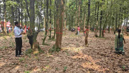 Campaign To Save Trees In Hazaribag