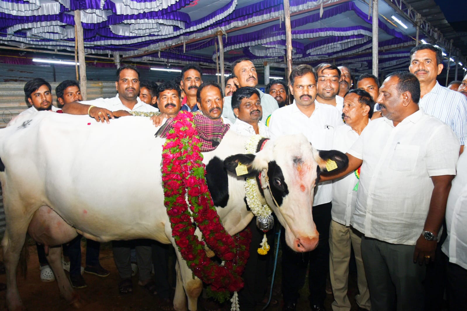 state-level-milking-competition