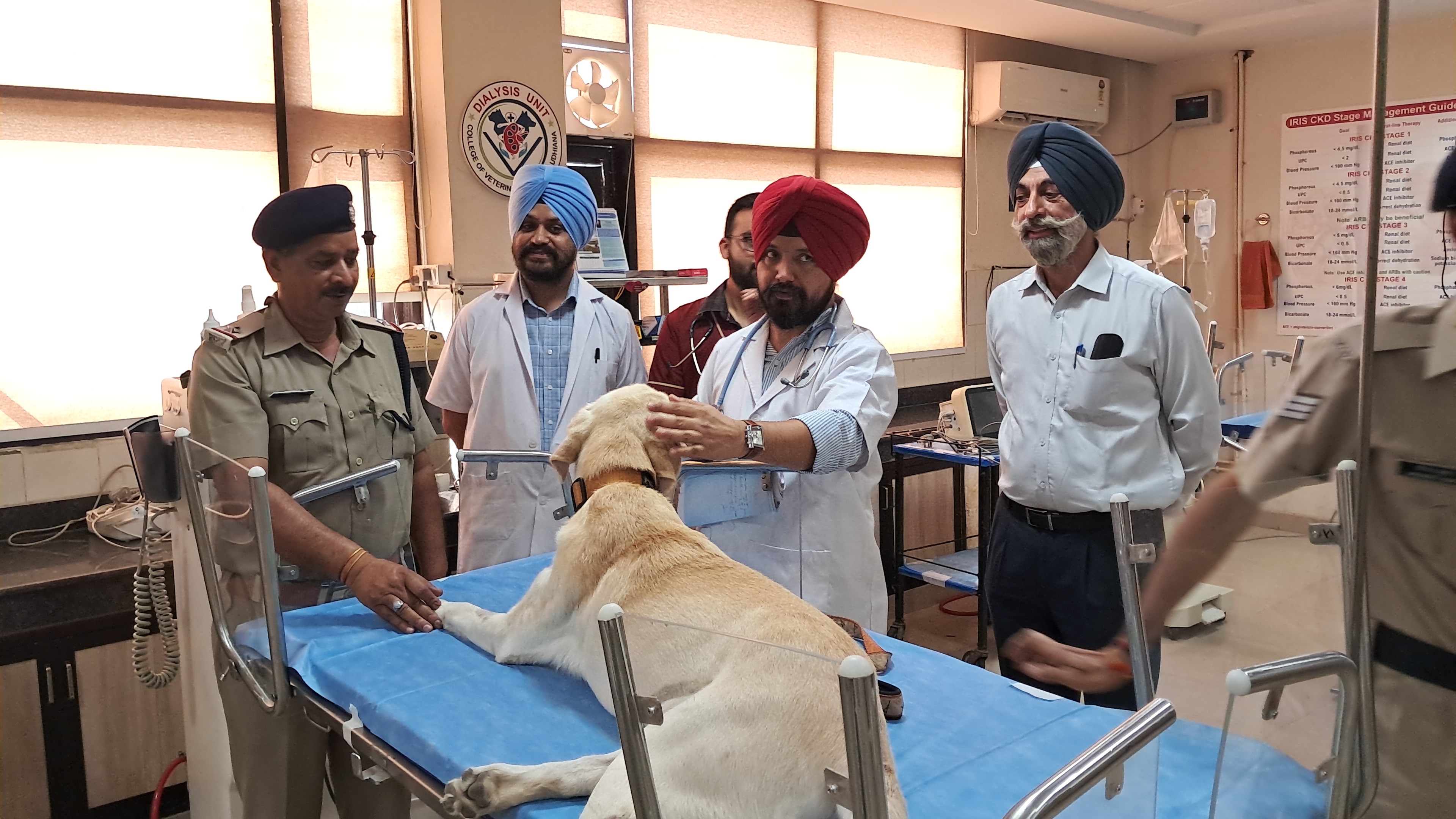 DOG Annex became healthy after undergoing dialysis 4 times in ludhiana hospital