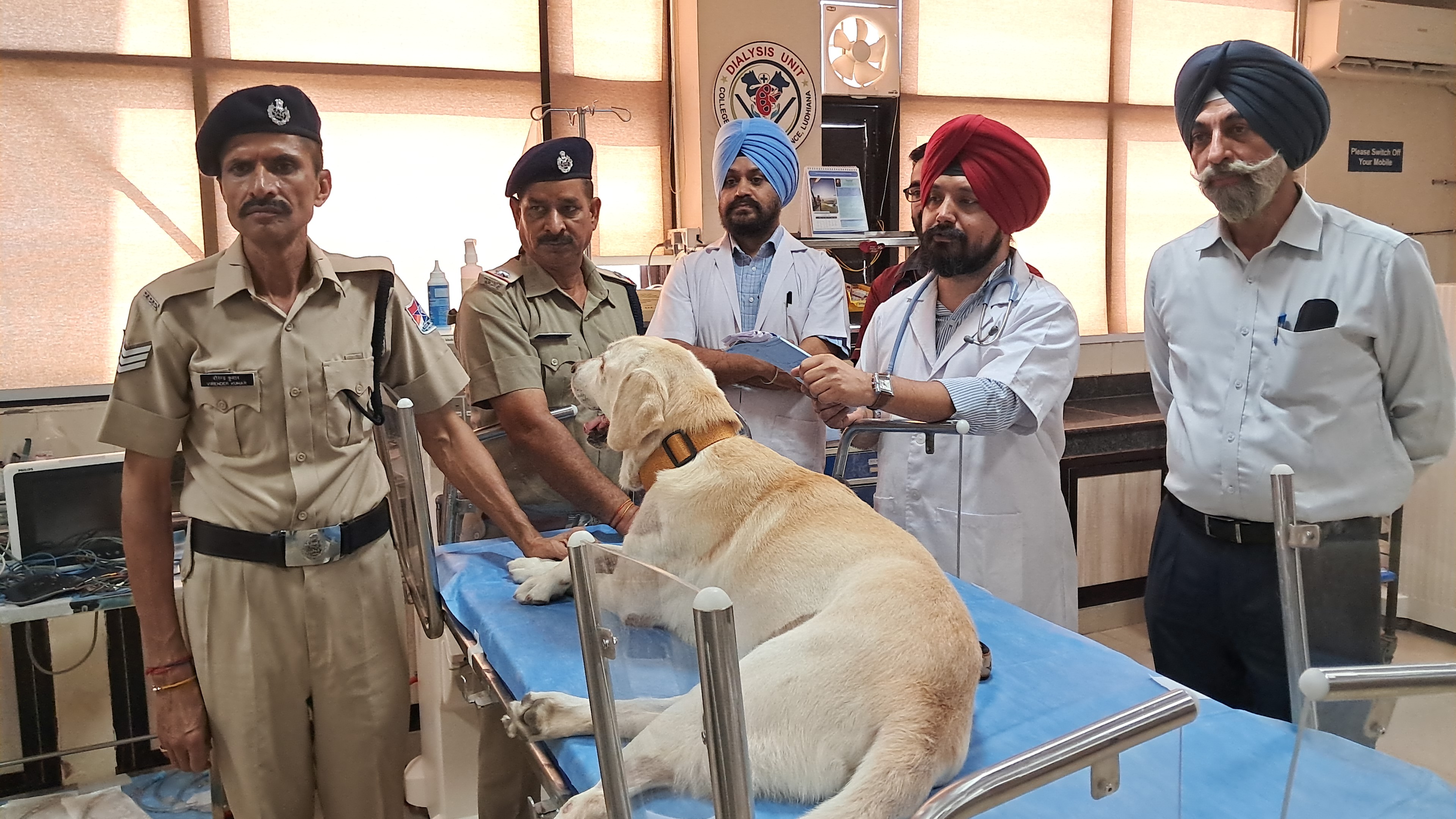 DOG Annex became healthy after undergoing dialysis 4 times in ludhiana hospital