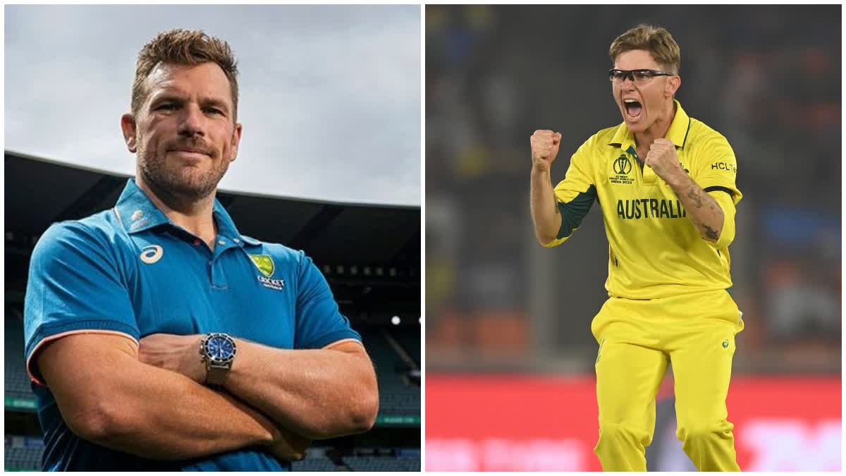 aaron finch and adam zampa