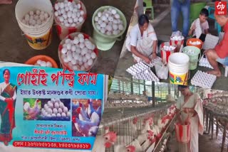 self reliance story of a woman who produces poultry eggs