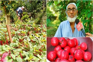 abubakar-benefits-of-leaf-vegetable,ഇലക്കറി പ്രചാരകൻ അബൂക്ക, അൻപതിലേറെ ഇല വർഗ്ഗങ്ങളുടെ പേരും ഗുണങ്ങളും അറിയാം