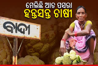 ଆତ ଚାଷୀଙ୍କୁ ମିଳୁନି ସ୍ଥାୟୀ ବଜାର, ଅଭାବୀ ବିକ୍ରିର ହେଉଛନ୍ତି ଶିକାର