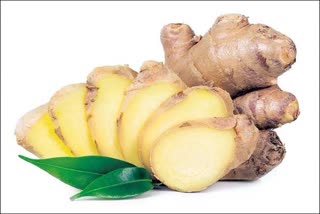 Etv Bharatginger-peel-can-be-used-in-many-ways-dot-do-you-know-how