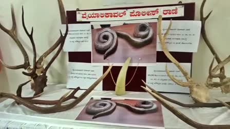 ವನ್ಯಜೀವಿ ಸಂರಕ್ಷಣಾ ಕಾಯ್ದೆ