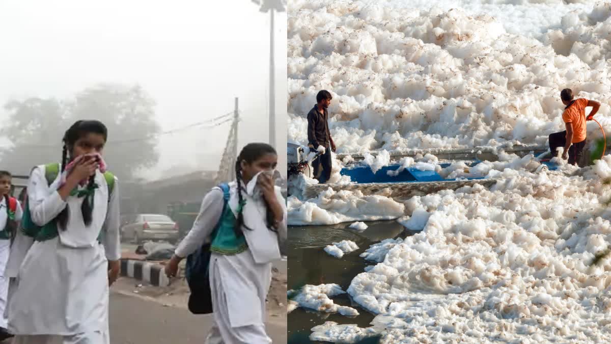 Pollution experts say Yamuna water is highly polluted