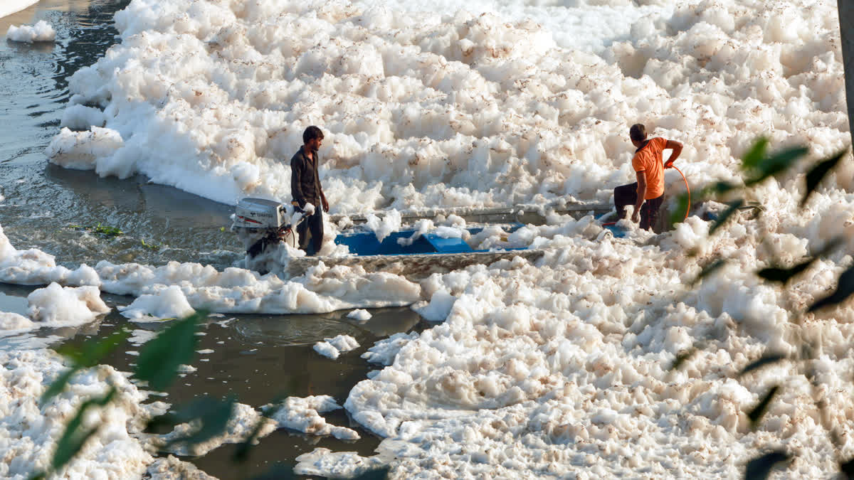 Pollution experts say Yamuna water is highly polluted