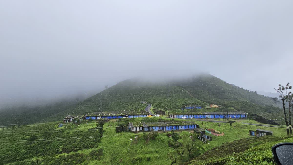 Valparai Tourism Spots  Tourism Destinations In Valparai  വാല്‍പ്പാറ ടൂറിസം സ്‌പോട്ടുകള്‍  വാല്‍പ്പാറയിലെ ടൂറിസം കേന്ദ്രങ്ങള്‍