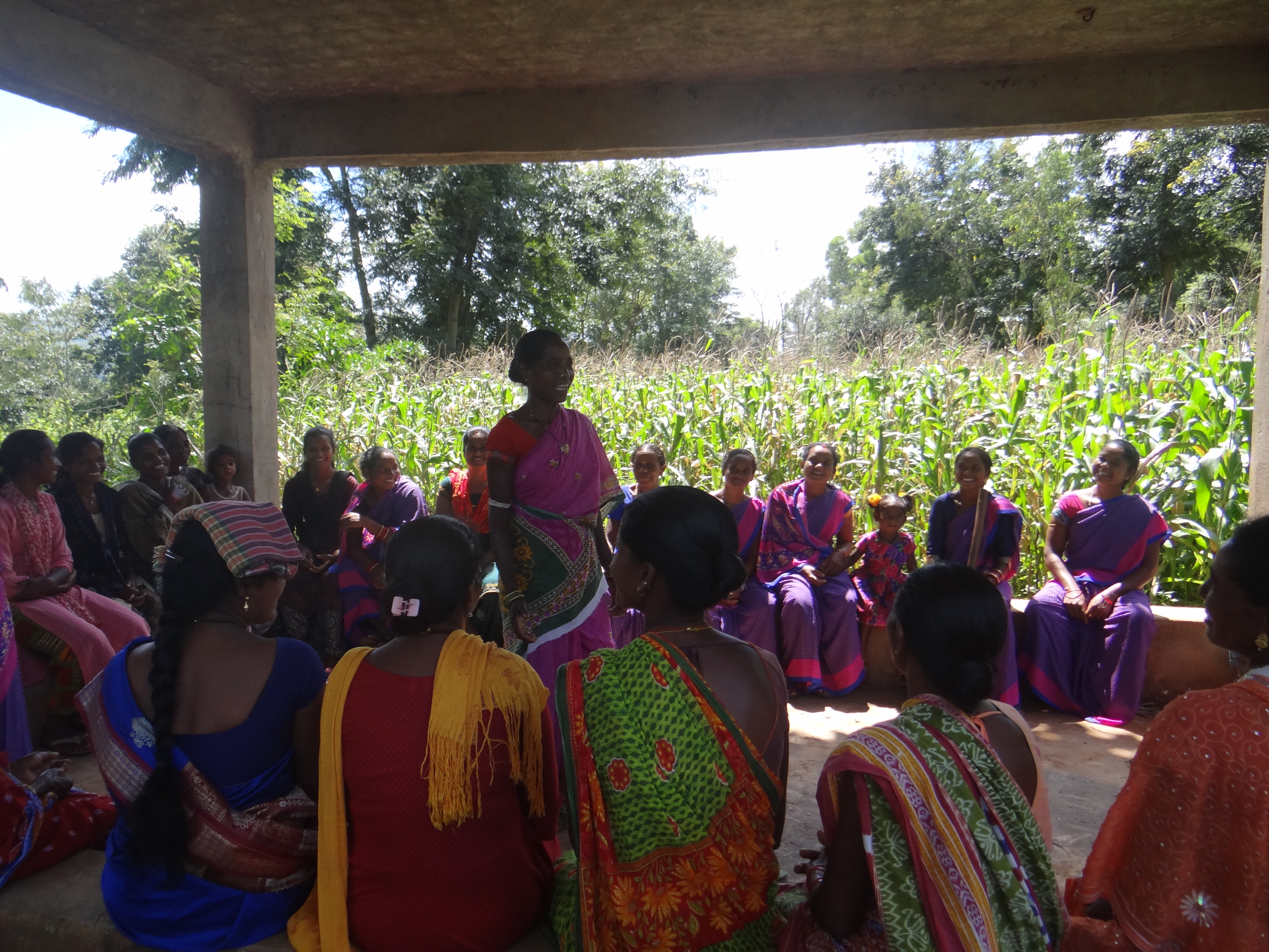 Koraput Women Revive Forests, Earn State Recognition