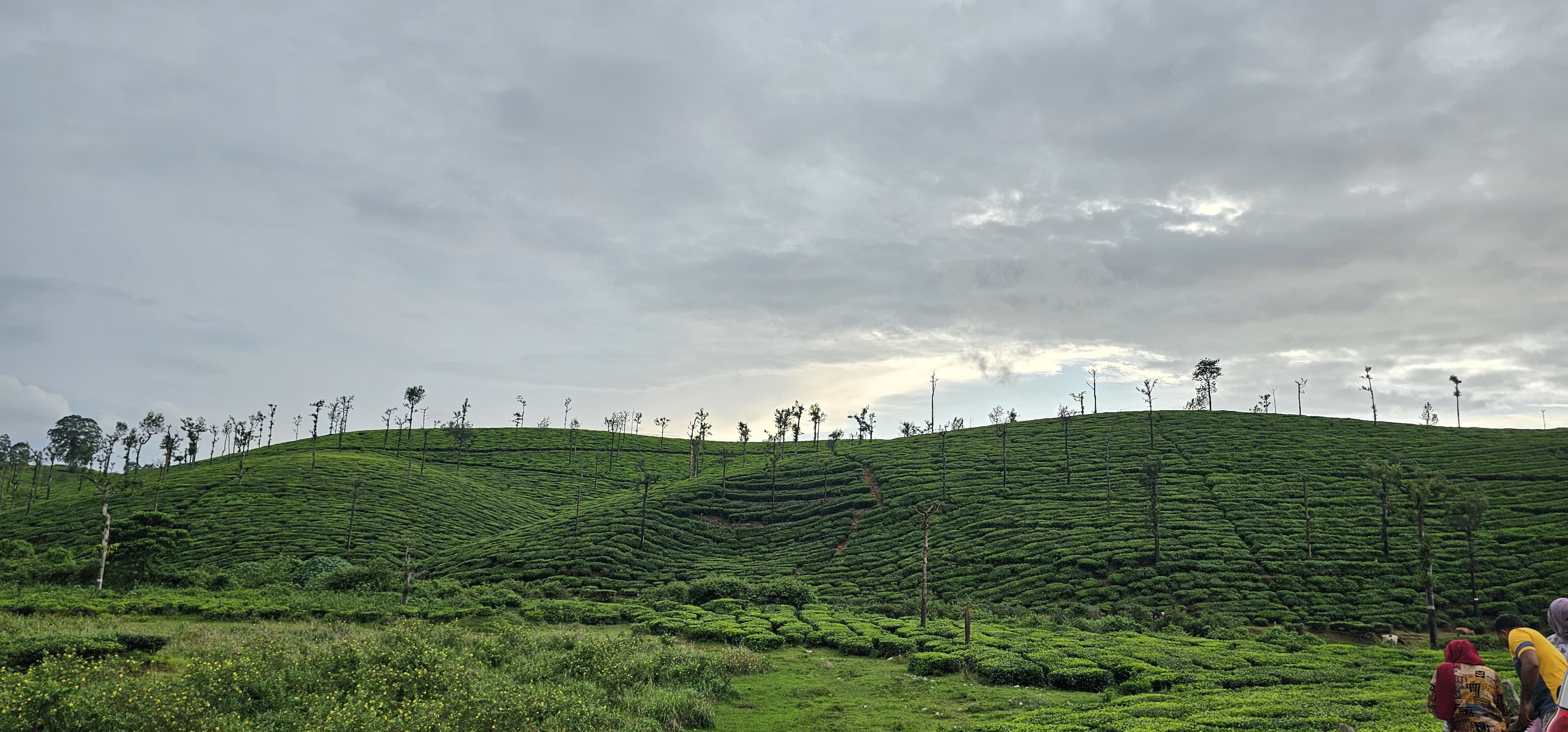 Valparai Tourism Spots  Tourism Destinations In Valparai  വാല്‍പ്പാറ ടൂറിസം സ്‌പോട്ടുകള്‍  വാല്‍പ്പാറയിലെ ടൂറിസം കേന്ദ്രങ്ങള്‍