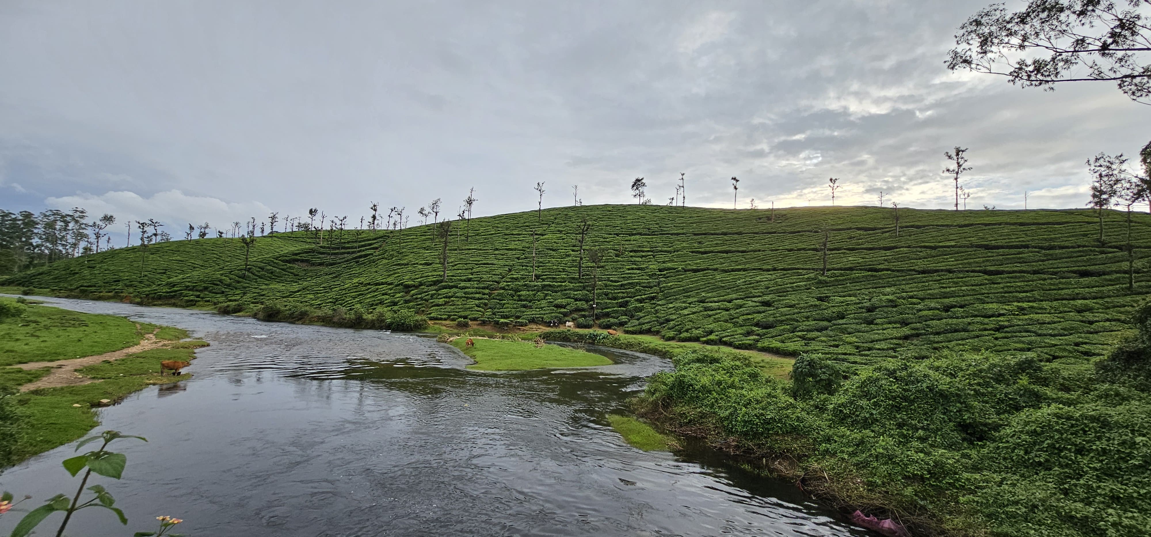 Valparai Tourism Spots  Tourism Destinations In Valparai  വാല്‍പ്പാറ ടൂറിസം സ്‌പോട്ടുകള്‍  വാല്‍പ്പാറയിലെ ടൂറിസം കേന്ദ്രങ്ങള്‍