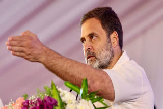 Reddy criticised Congress' caste survey, questioning Rahul Gandhi's caste and religion while demanding the fulfilment of promises to backward classes made by Congress.