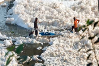 Pollution experts say Yamuna water is highly polluted