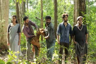 Forest film team