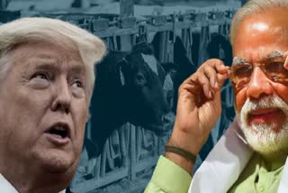 India-US Relations: What 'America First' Means For India, Security, Trade