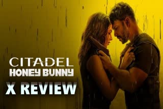 Citadel Honey Bunny X Review