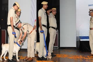 DOG SQUAD OF HARYANA POLICE