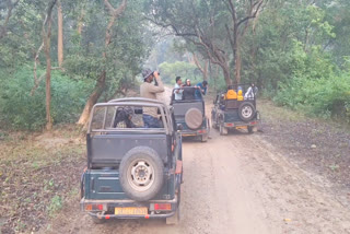 Safari in Corbett Park