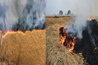 STUBBLE BURNING