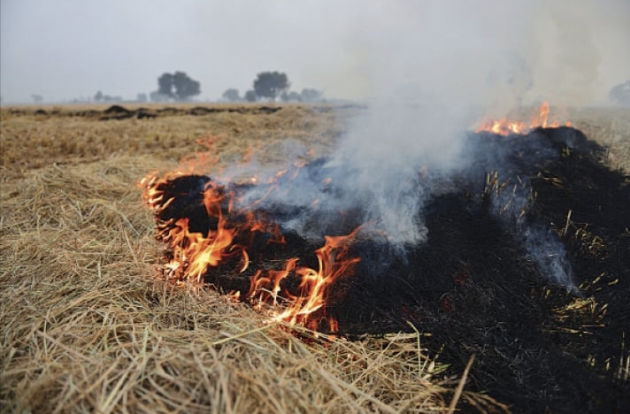 पंजाब पराली जलाने में सबसे आगे, एक नवंबर से चार राज्यों में बढ़े पराली जलाने के मामले