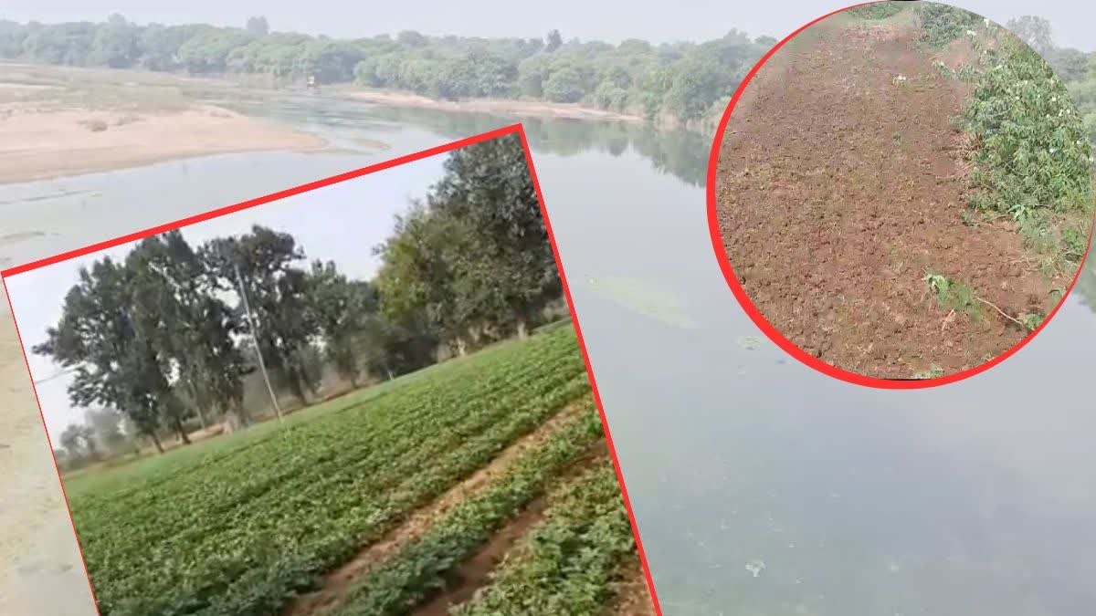Farming In Canal Of Gariaband