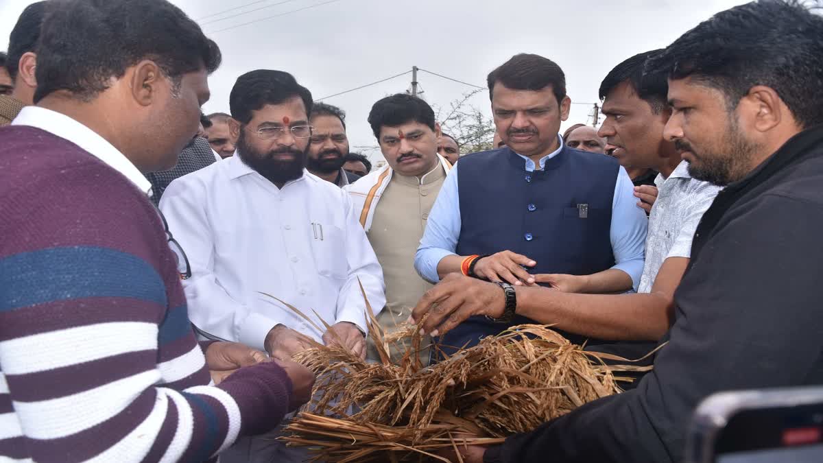 Agricultural Damage Inspection