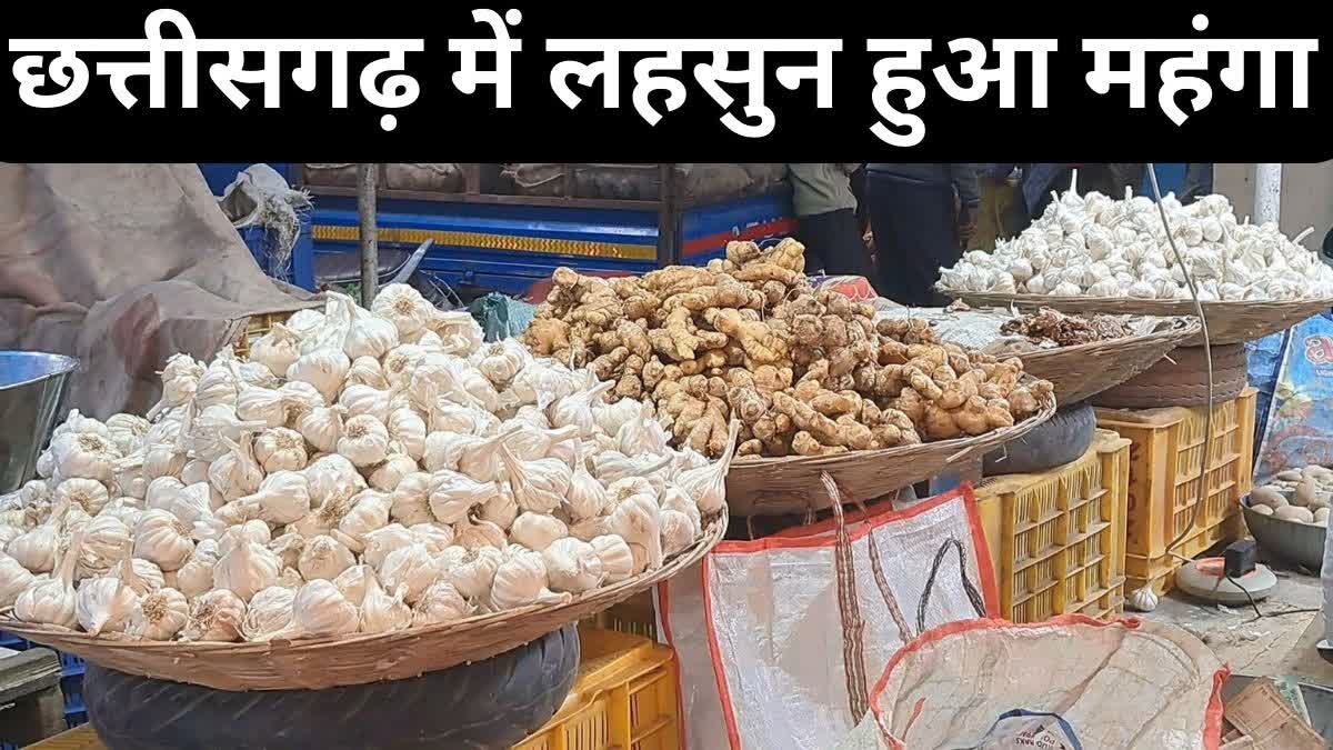 Chhattisgarh Garlic expensive