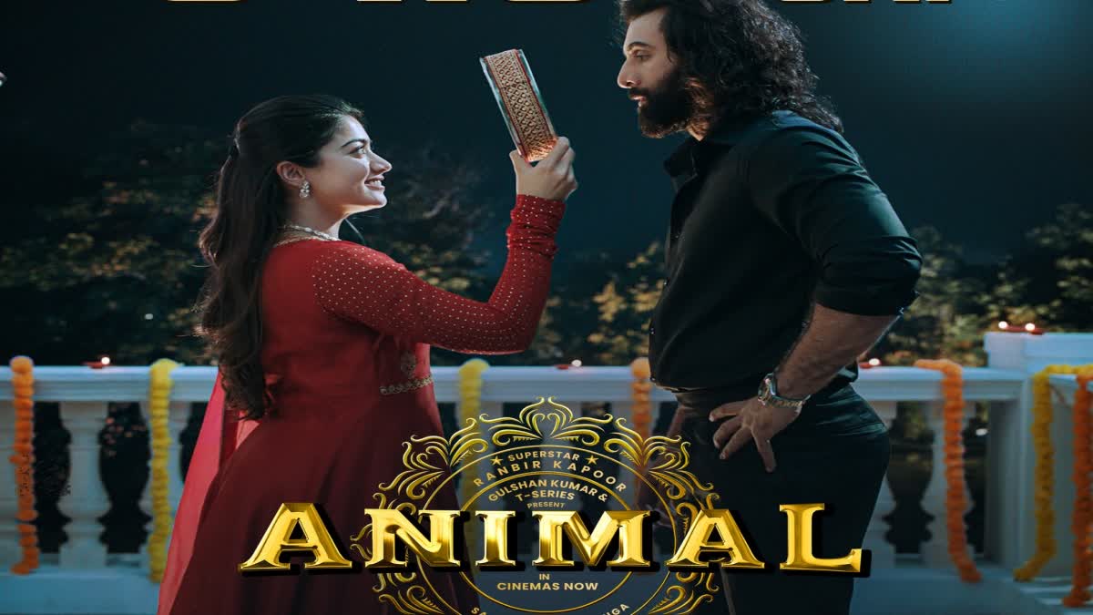 animal movie box office collection