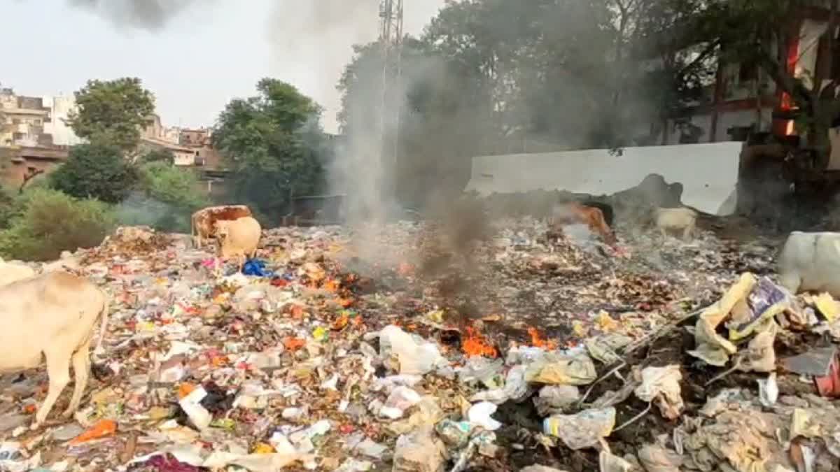 Dhamtari garbage dumping