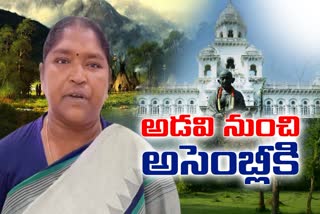 Mulugu MLA Seethaka Life Story