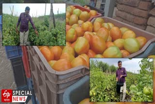 Kolhapur Farmer Success Story