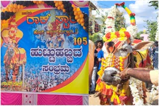 ಹೋರಿ ರಾಕ್​ಸ್ಟಾರ್​ ಜನ್ಮದಿನ ಆಚರಣೆ