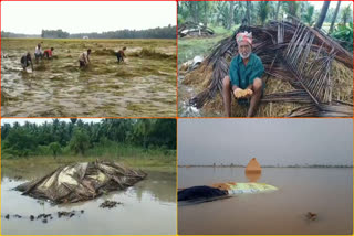 Troubles_of_Paddy_Farmers_due_to_Cyclone_Michaung