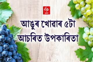 5 benefits of eating grapes that you must know about it