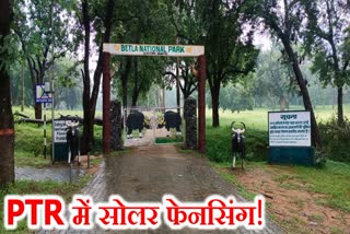 solar fencing for soft release centre of animals in Palamu Tiger Reserve