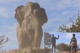 Youths confront elephant