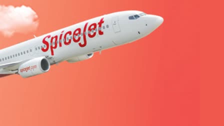 SpiceJet share price