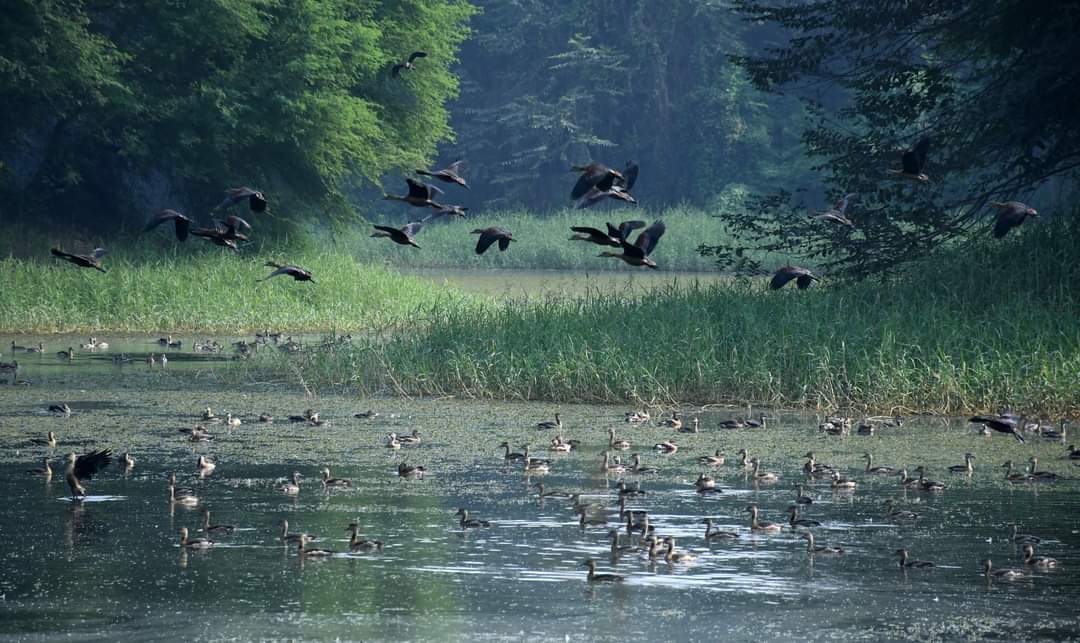 राजधानी जलाशय का अद्भुत नजारा