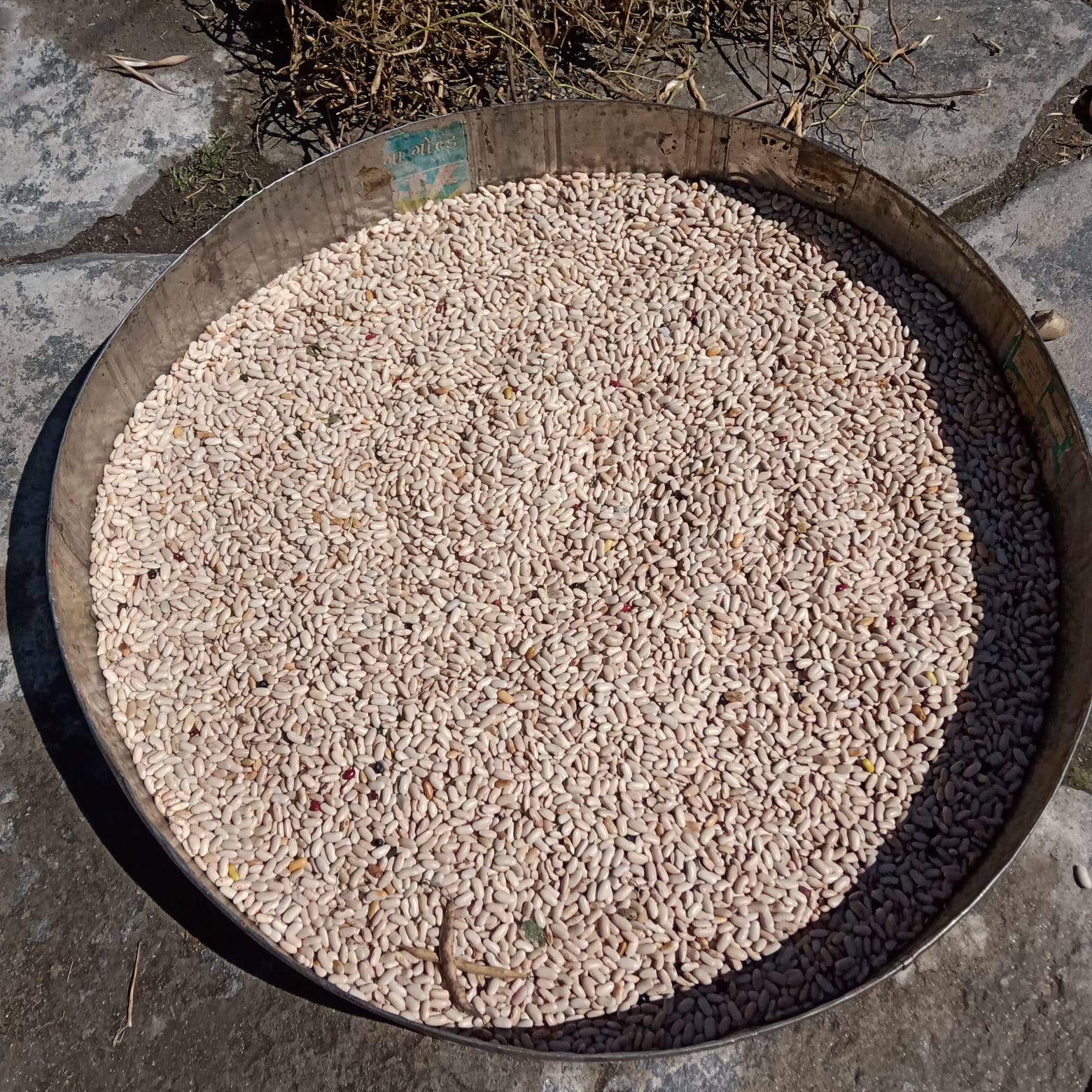 Rajma of Harshil Valley