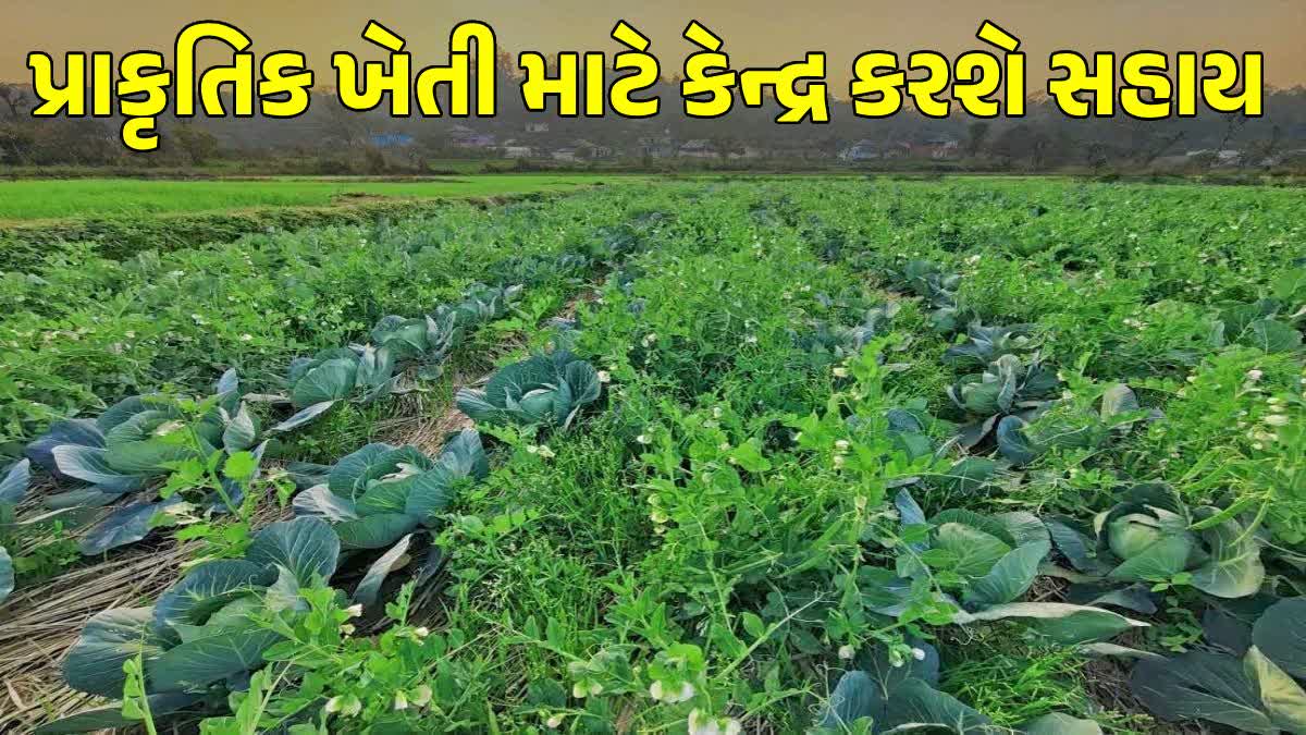 ફાઈલ તસવીર