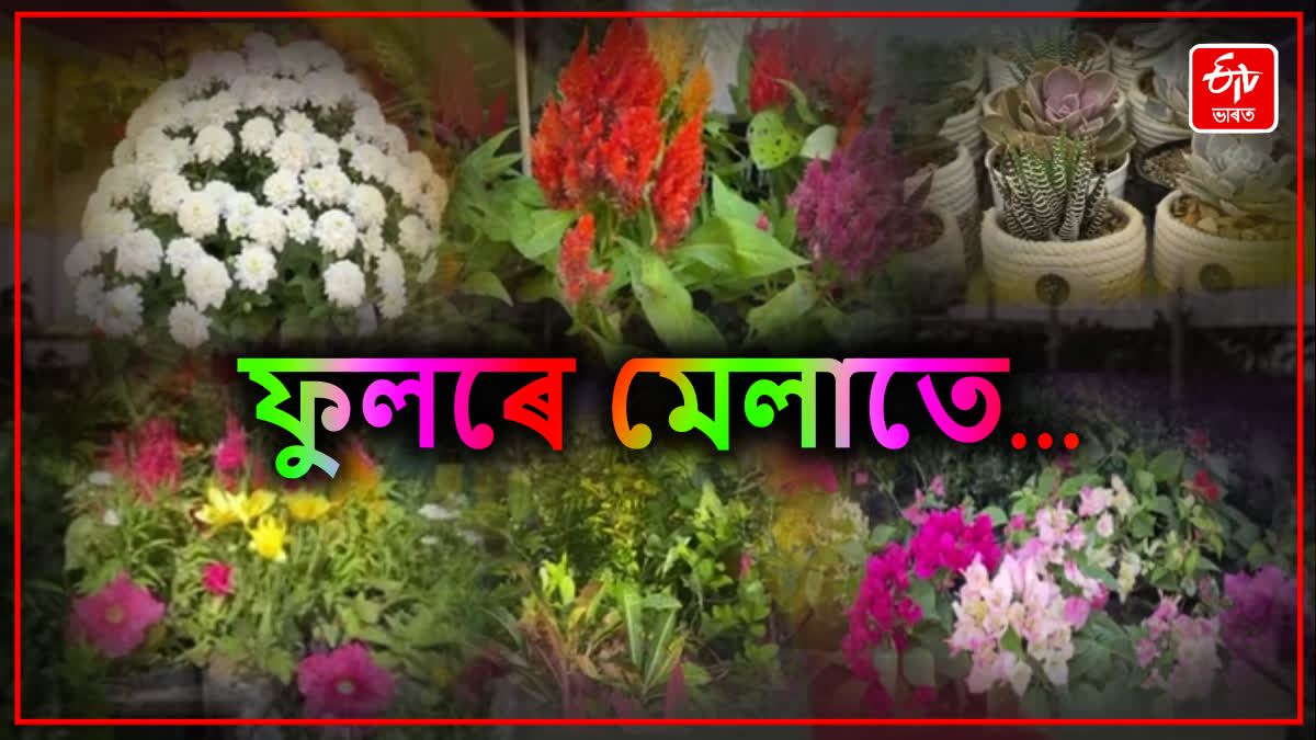 flower exhibition in Jorhat