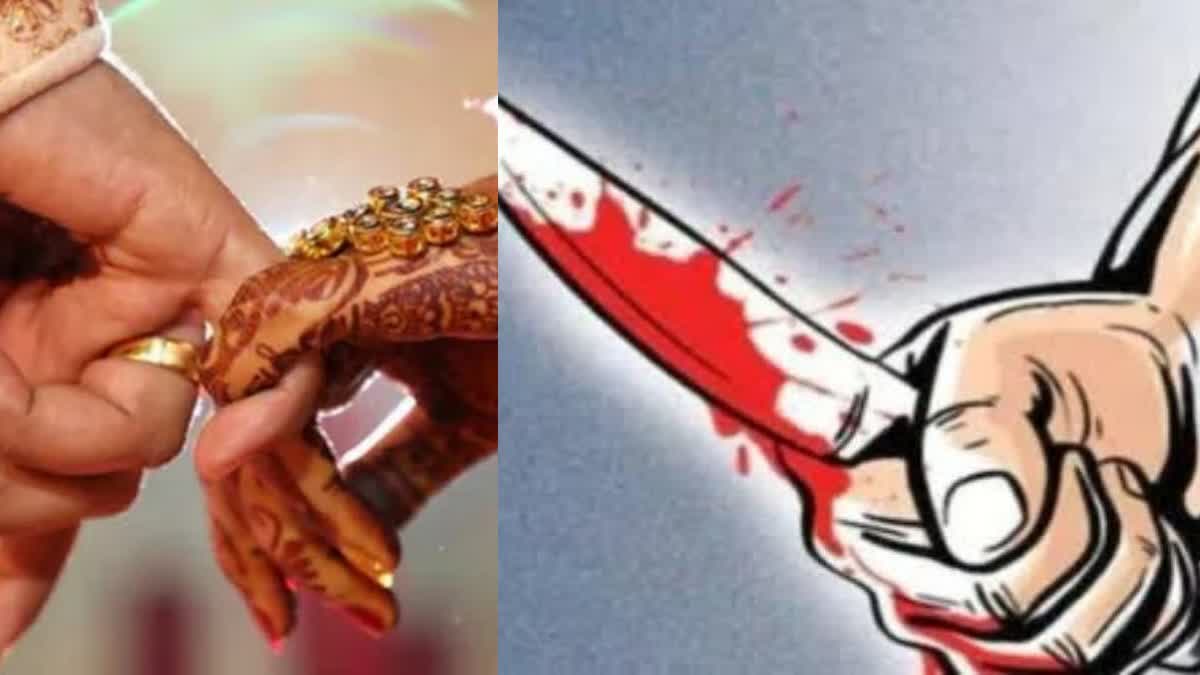 Son murders mother over marriage objection in khyala Delhi