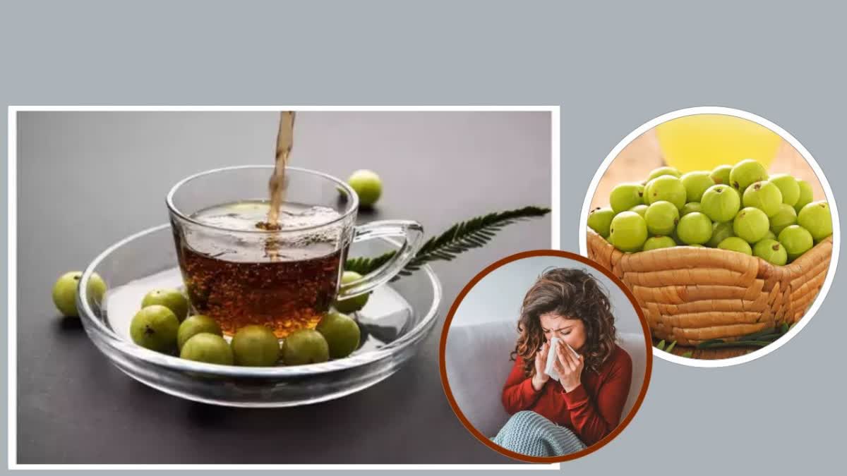 Health Benefits of Amla Tea