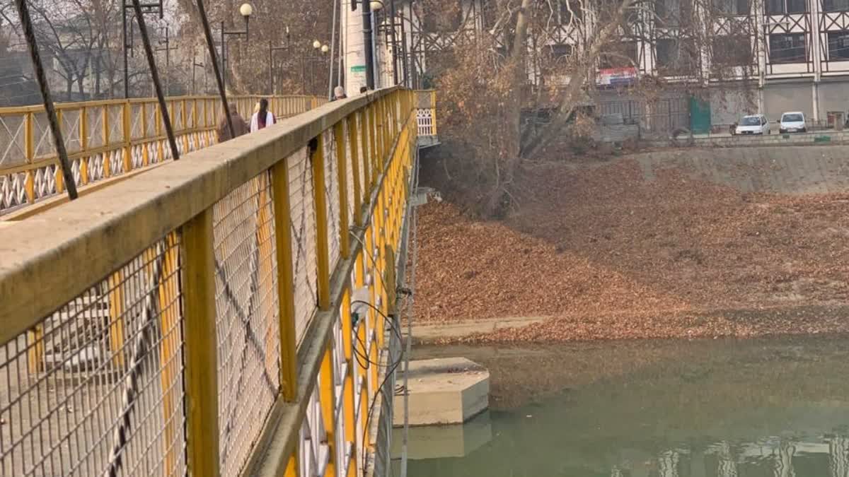 girl died who thrown off bridge in Srinagar by her mentally ill aunt Jammu Kashmir Police