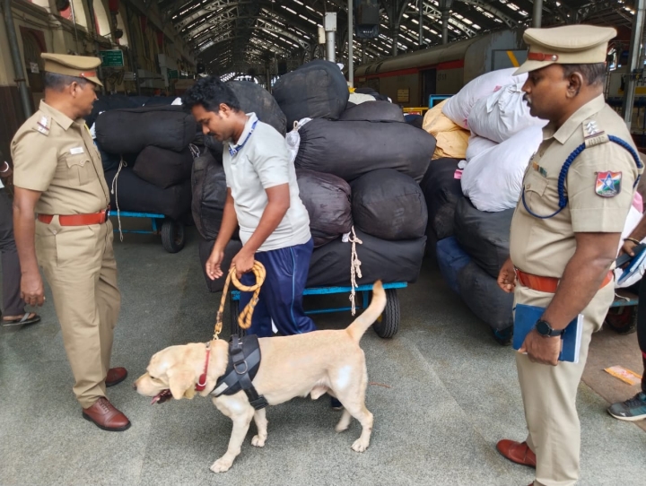 மோப்ப நாய் சோதனை செய்யும் காட்சி