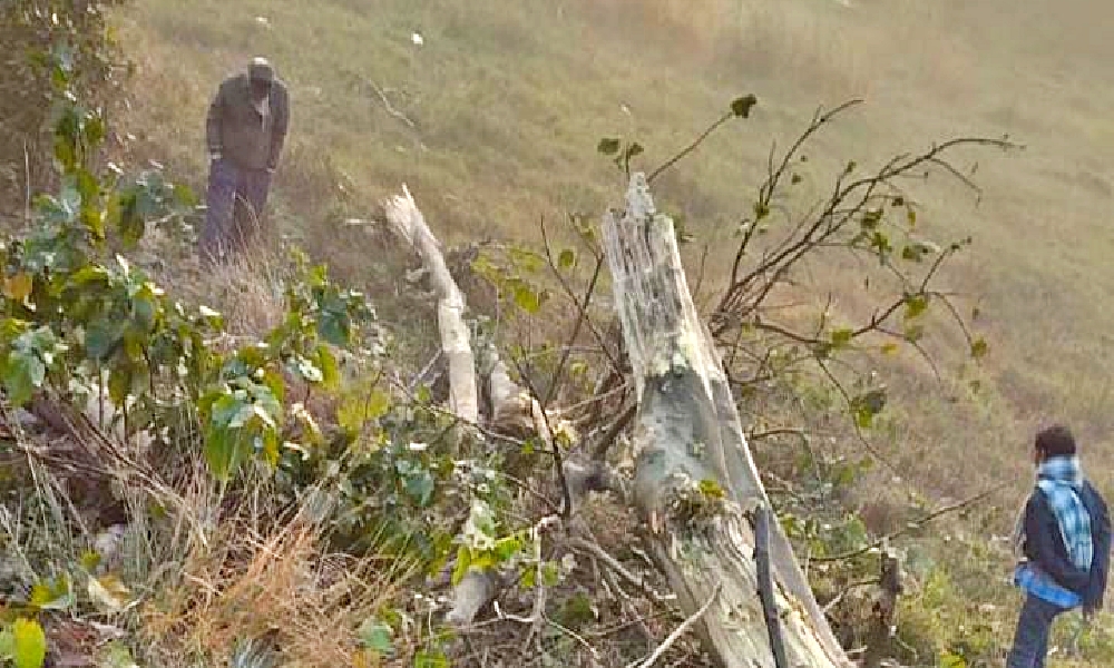 Muzaffarpur Road accident