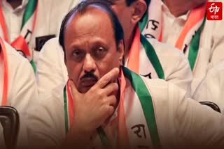 Ajit Pawar meeting with NCP defeated candidate in Maharashtra Assembly Election 2024, they raise problems about bjp, shivsena stand